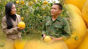 "Mùa vàng" Tiên Hội