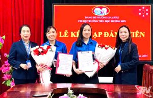 Tập trung giải pháp tiếp tục củng cố, xây dựng tổ chức cơ sở đảng