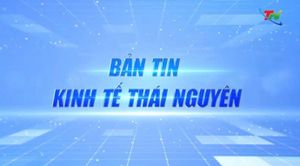 Bản tin Kinh tế, tuần 5, tháng 1 năm 2026: Thái Nguyên - Phú Thọ - Bắc Ninh thống nhất mở rộng hợp tác liên vùng