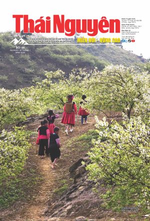 Thái Nguyên: Miền núi - Vùng cao số 08