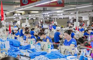 TNG lập kỷ lục doanh thu: Tín hiệu bứt phá ngay đầu năm