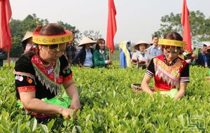 Huyện nông thôn mới Đồng Hỷ: Đích đến không còn xa