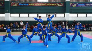 Giải Vovinam học sinh Trường Iris mở rộng - Cup Thái Hưng lần thứ I