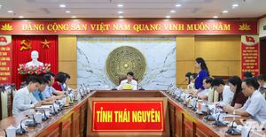 Phấn đấu tỷ lệ bao phủ bảo hiểm y tế đạt trên 95% dân số