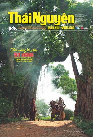 Thái Nguyên: Miền núi - Vùng cao số 14