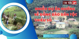 Podcast điểm tin ngày 17/5/2024