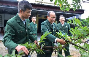 Lại về cuốc bẫm cày sâu