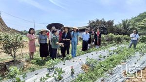 Phát triển chuỗi liên kết nông nghiệp dược liệu tuần hoàn