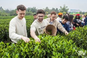 Mở rộng cánh cửa đón du khách quốc tế