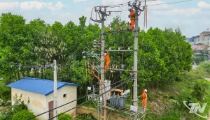 Điện giờ cao điểm và bài toán thích ứng