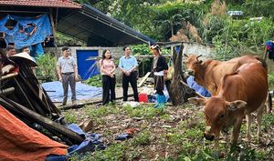 Tạo cú hích cho đồng bào dân tộc thiểu số nghèo