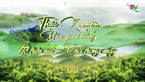 Thái Nguyên: Bản giao hưởng Hồ trên núi - Trà trong mây
