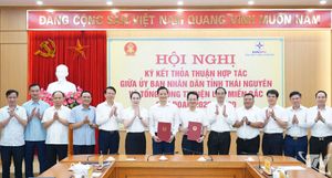 Thái Nguyên và Tổng Công ty Điện lực miền Bắc tăng cường hợp tác phát triển hạ tầng điện