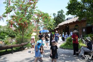 Nở rộ điểm check-in thu hút du khách
