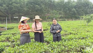 An Khánh bứt phá sau sáp nhập