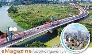 Thái Nguyên sẵn sàng cùng cả nước vươn tầm phát triển