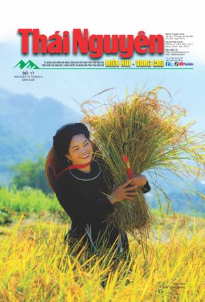 Thái Nguyên: Miền núi - Vùng cao số 17