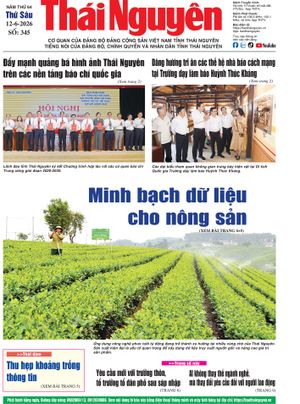 Số 345 ngày 12/6/2026