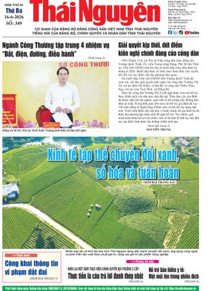 Số 349 ngày 16/6/2026
