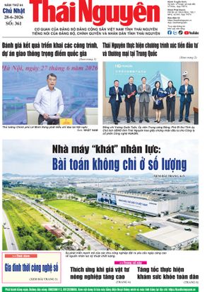Số 361 ngày 28/6/2026