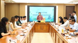 Thái Nguyên chuẩn bị tổ chức Festival Trà Quốc tế 2026 với nhiều điểm nhấn mới