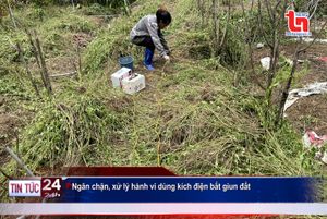 Podcast điểm tin ngày 18/8/2023: