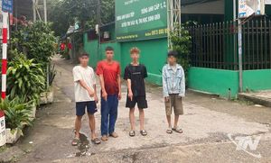 Làm rõ nhóm thanh thiếu niên trộm siêu thị tại Tích Lương