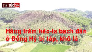 Podcast điểm tin ngày 25/9/2023: