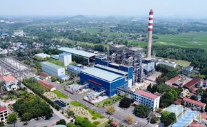 Bảo vệ môi trường trong sản xuất điện