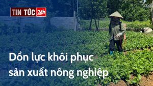 Podcast điểm tin ngày 13/9/2024