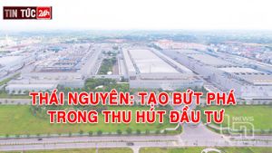 Podcast điểm tin ngày 3/10/2024