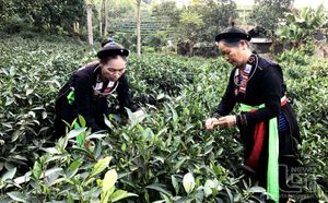 Hiệu quả công tác dân vận ở vùng đồng bào dân tộc thiểu số huyện Đại Từ