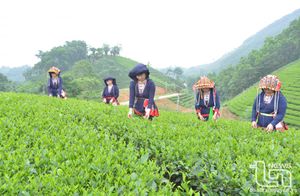 Khởi sắc vùng đồng bào dân tộc thiểu số