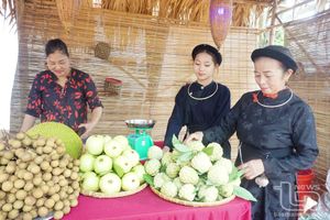 “Chìa khóa” giảm nghèo cho đồng bào dân tộc thiểu số
