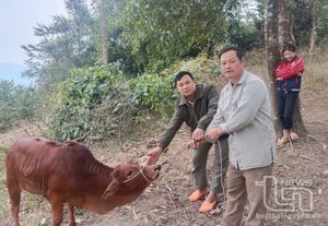 Khe Cái - xóm nghèo nỗ lực vươn lên