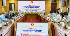 Tập đoàn TMK và Công ty CP Gang thép Thái Nguyên thúc đẩy hợp tác