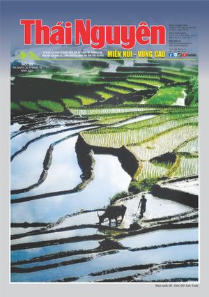 Thái Nguyên: Miền núi - Vùng cao số 02