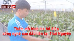 Podcast điểm tin ngày 7/11/2023: