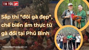 Podcast điểm tin ngày 13/11/2023: