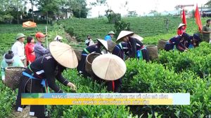 Nâng cao khả năng tiếp cận thông tin về các mô hình giảm nghèo vùng đồng bào dân tộc