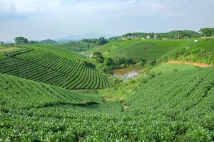 Những miền quê nắng ngọc