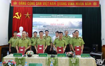 Ký Quy chế phối hợp quản lý, bảo vệ rừng vùng giáp ranh 4 tỉnh
