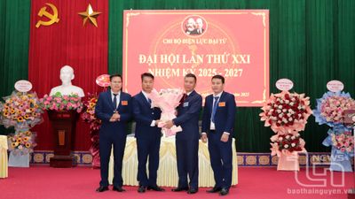 Đại Từ: Doanh thu tiền điện tăng trưởng bình quân 4,62%/năm