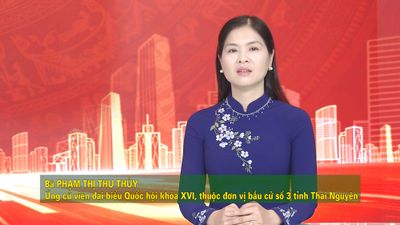 Diễn đàn ứng cử viên - Bà Phạm Thị Thu Thủy