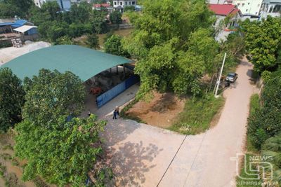 Cấp trùng thửa đất: Cần sự vào cuộc quyết liệt từ chính quyền