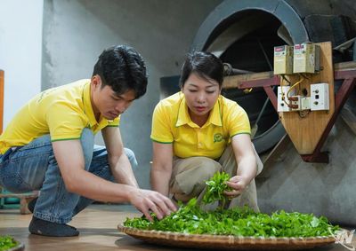 Dấu ấn của nữ giám đốc Hợp tác xã Hương Vân Trà