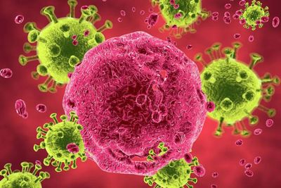 Đột phá mới trong điều trị khiến virus HIV ‘lộ diện’ bên trong các tế bào bạch cầu