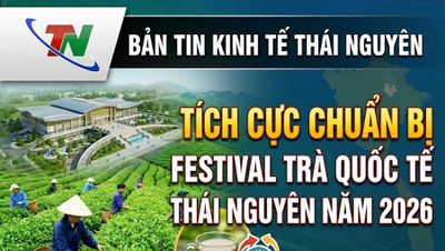 Bản tin Kinh tế tuần 1 tháng 6: Tích cực chuẩn bị Festival Trà Quốc tế - Thái Nguyên năm 2026