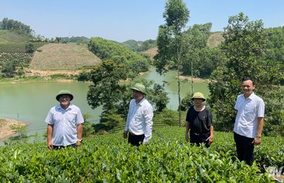 Xã Vô Tranh chuẩn bị chương trình trải nghiệm 'Dấu ấn xứ Trà'