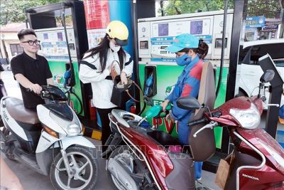 Thí điểm một số chính sách trong triển khai lộ trình sử dụng xăng E10